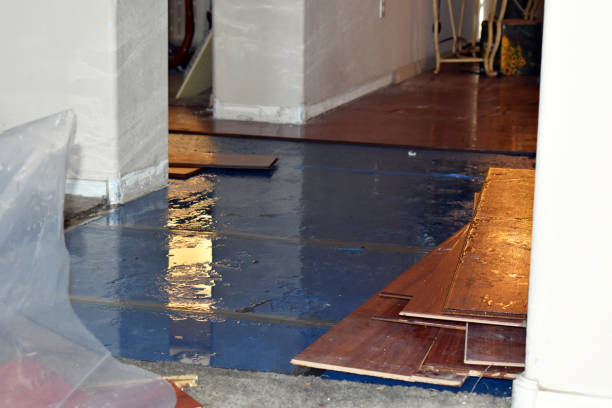Professional Basement Flood Cleanup technician working in Covington, WA